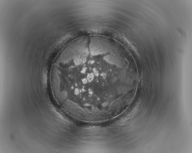 X0000112890637200909041702