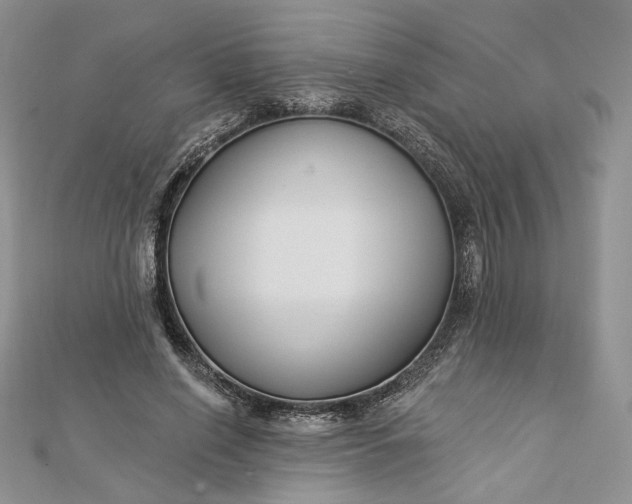X0000112890638200909041702