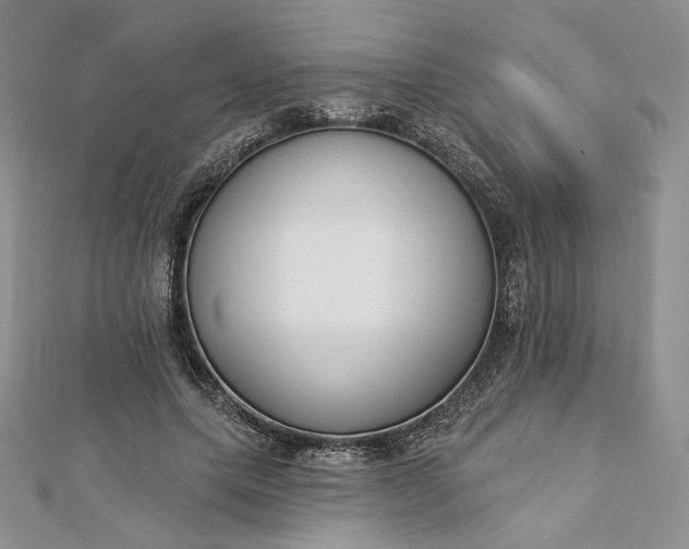 X0000112890639200909041702