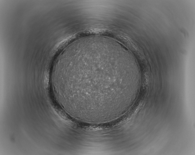 X0000112890640200909041702