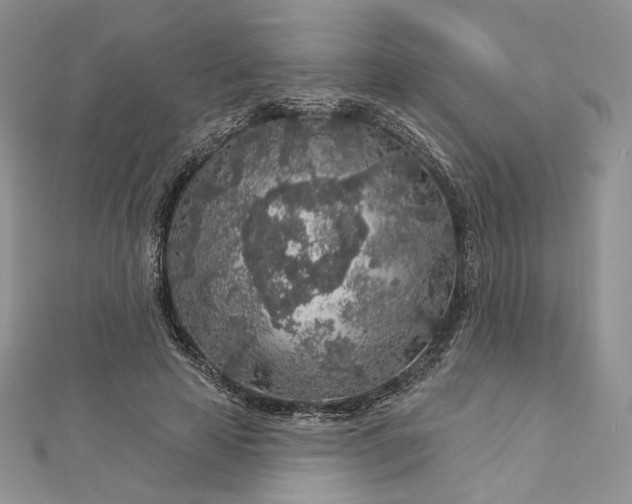 X0000112890641200909041702