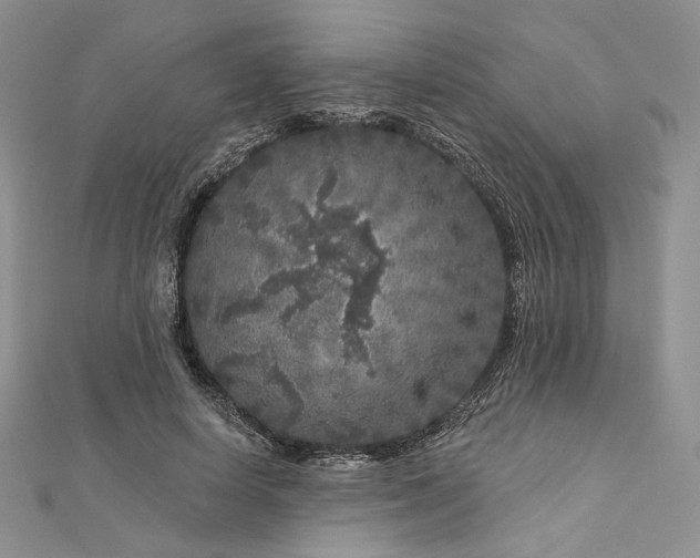 X0000112890642200909041702