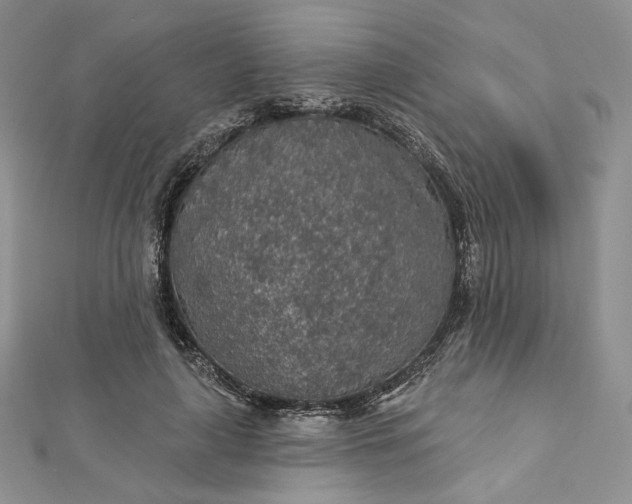X0000112890643200909041702