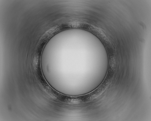 X0000112890645200909041702