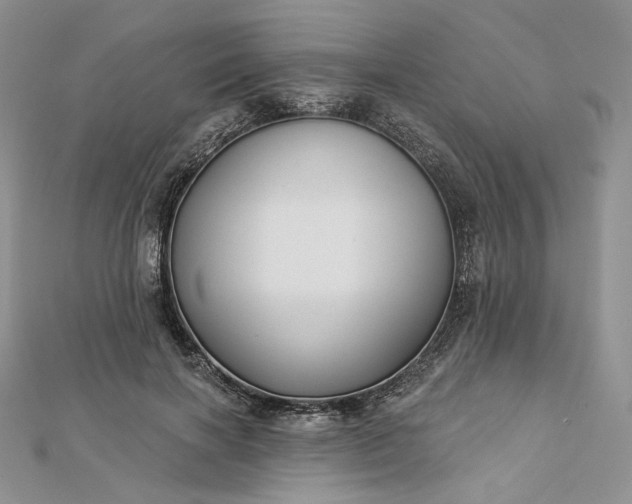 X0000112890646200909041702