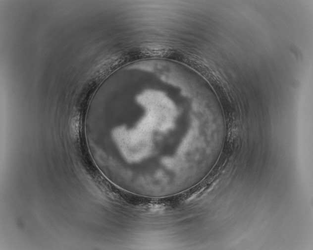 X0000112890647200909041702