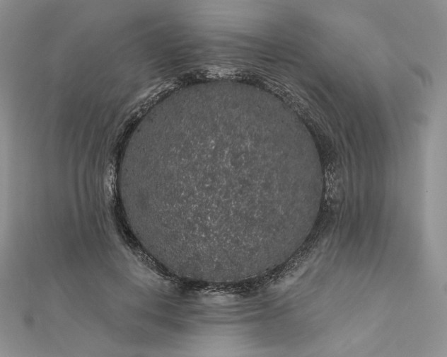 X0000112890648200909041703