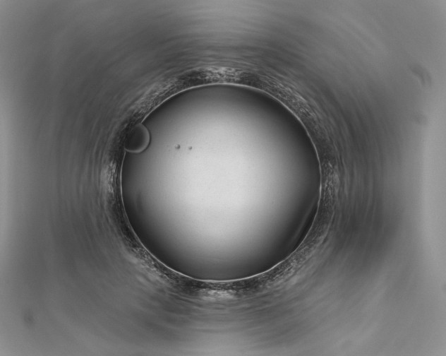 X0000112890649200909041703