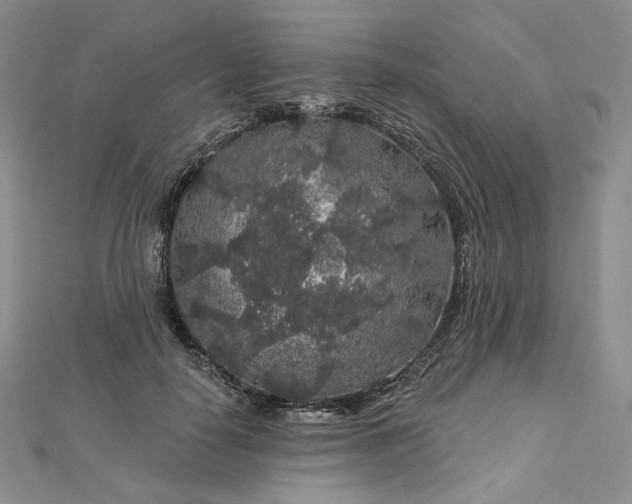 X0000112890650200909041703