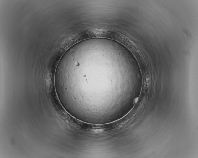 X0000112890651200909041703