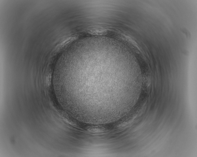X0000112890652200909041703