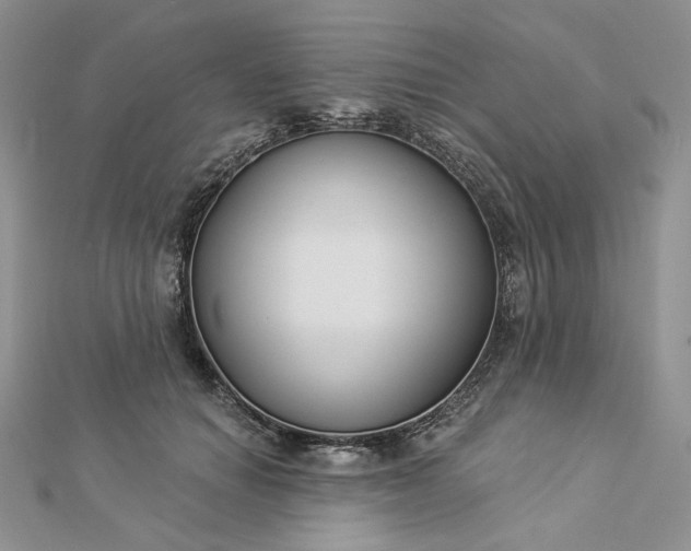 X0000112890654200909041703