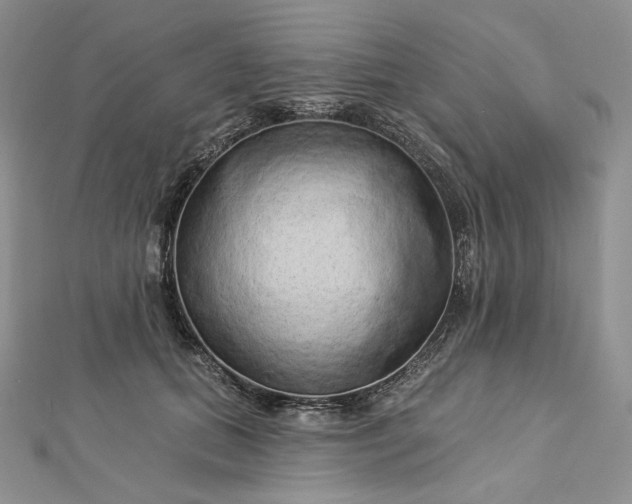 X0000112890655200909041703