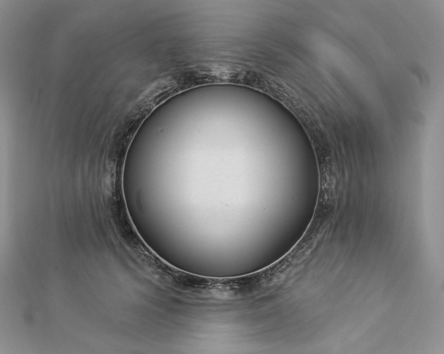 X0000112890656200909041703