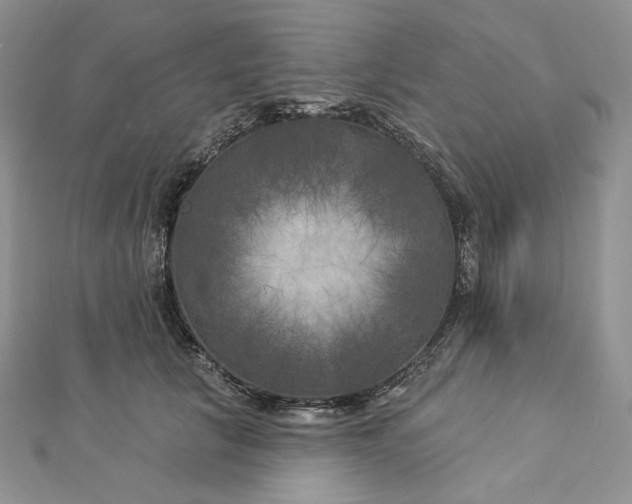 X0000112890657200909041703