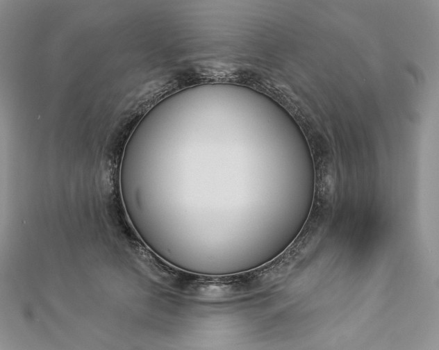 X0000112890658200909041703