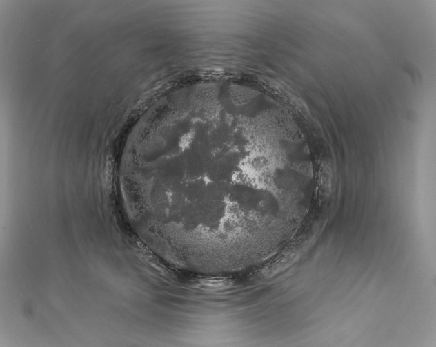 X0000112890659200909041703