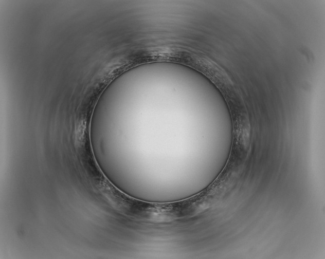 X0000112890660200909041703