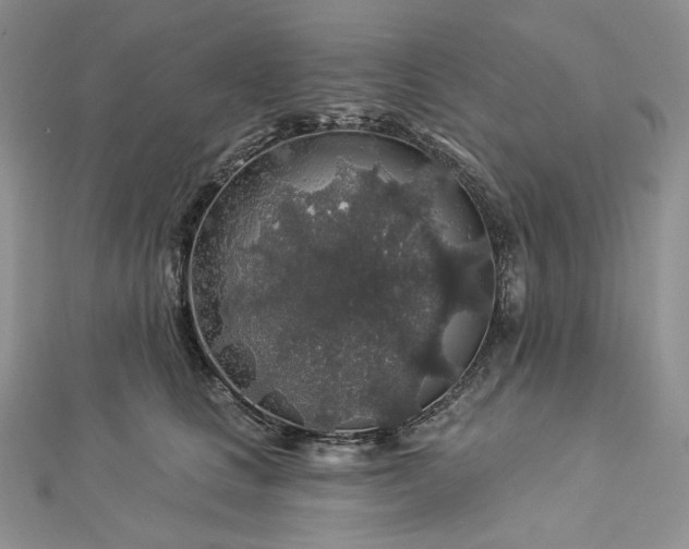 X0000112890661200909041703