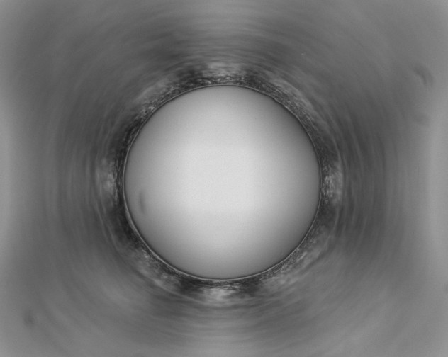 X0000112890662200909041703