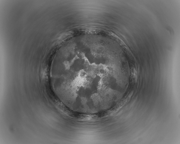X0000112890663200909041703