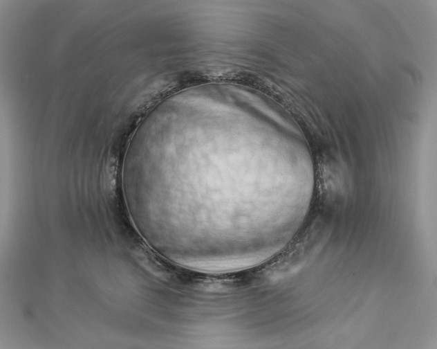 X0000112890664200909041703
