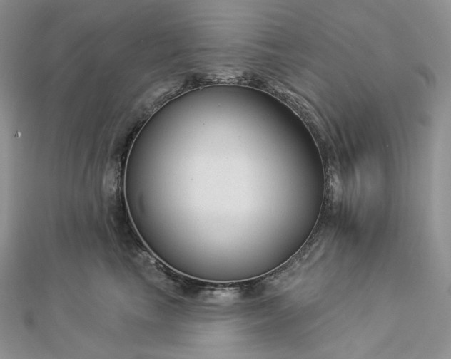 X0000112890665200909041703