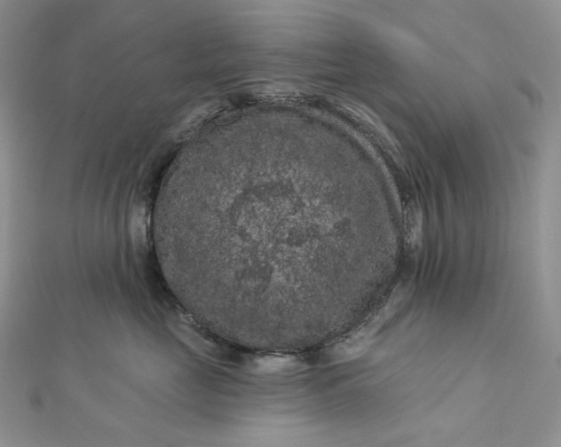 X0000112890669200909041703