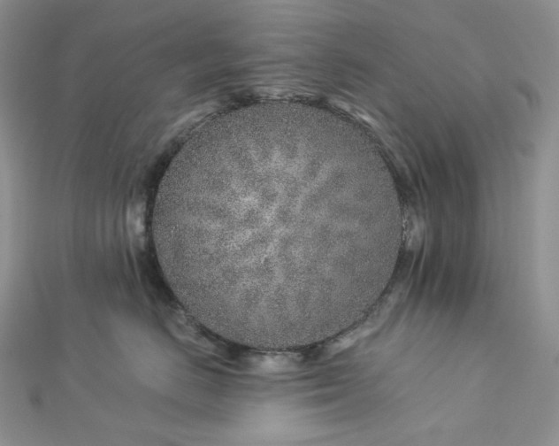 X0000112890670200909041703