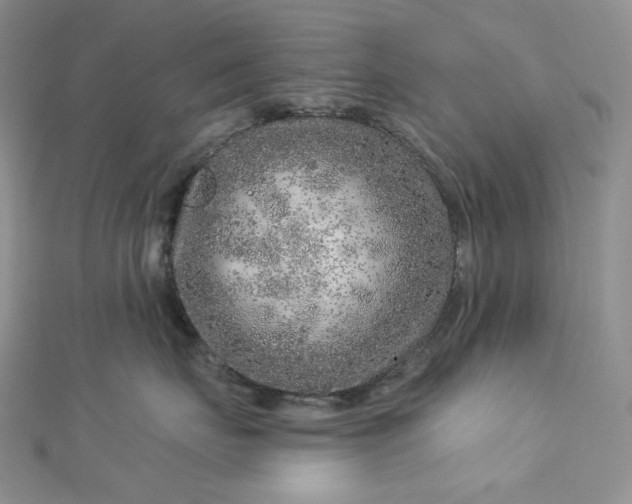 X0000112890671200909041703