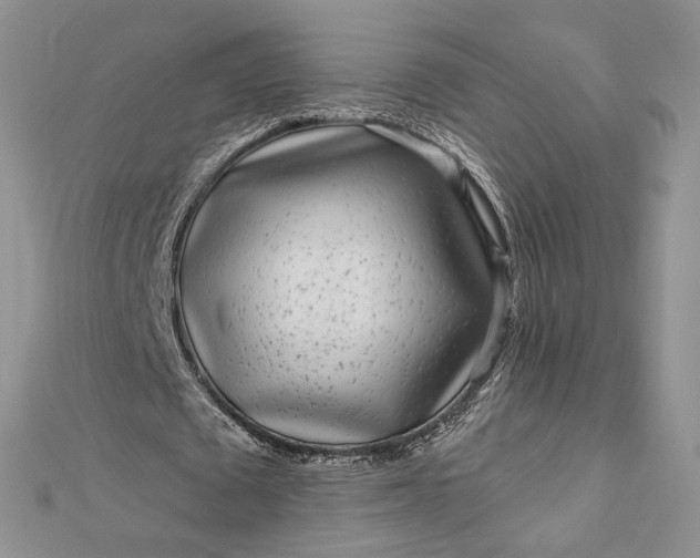 X0000112890673200909041702