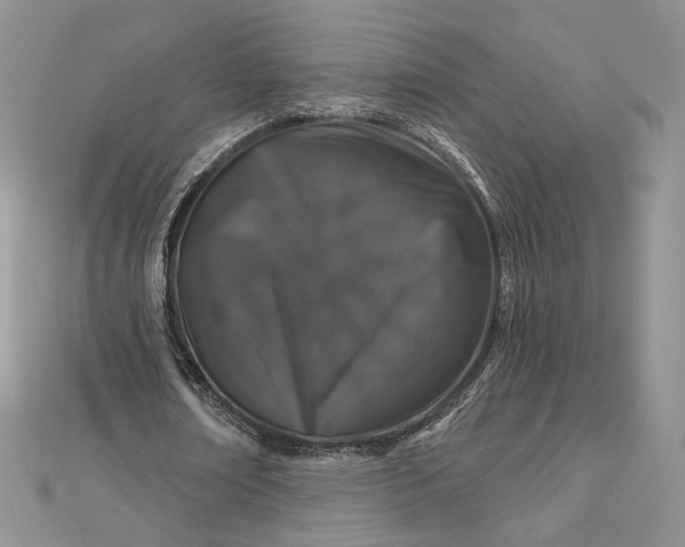 X0000112890674200909041702