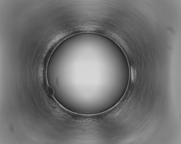 X0000112890675200909041702