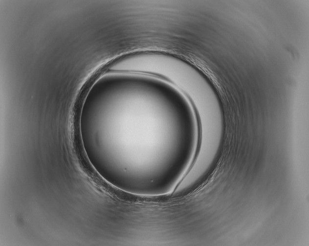 X0000112890676200909041702