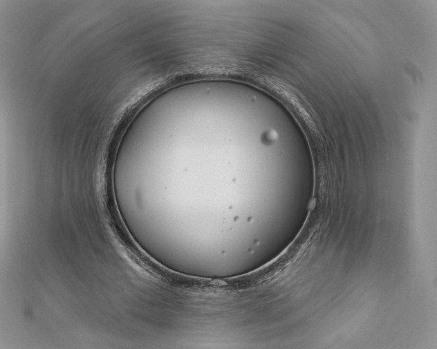 X0000112890677200909041702
