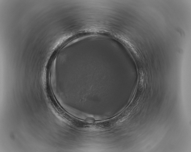 X0000112890678200909041702