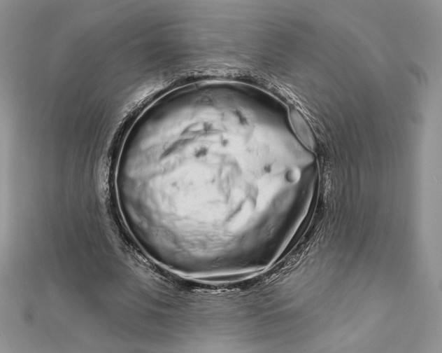 X0000112890679200909041702