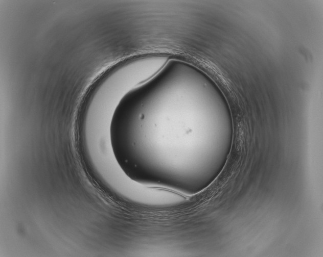 X0000112890680200909041702