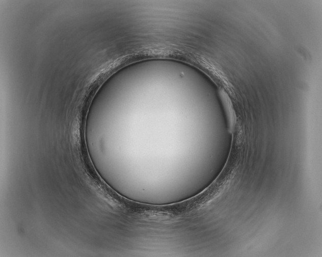 X0000112890681200909041702