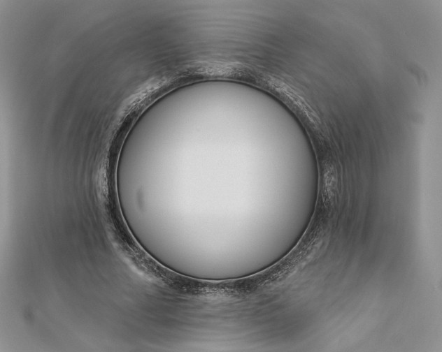 X0000112890682200909041702