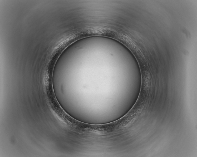 X0000112890683200909041702