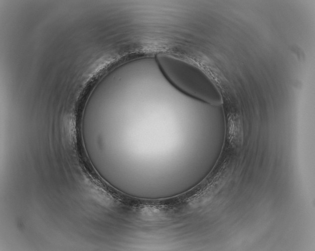 X0000112890684200909041702