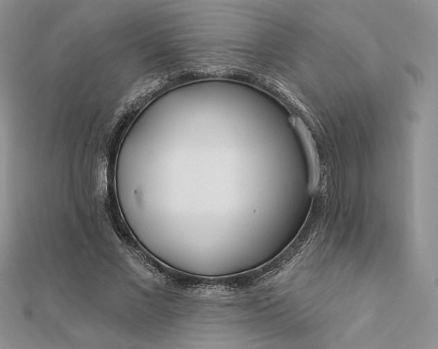 X0000112890685200909041702