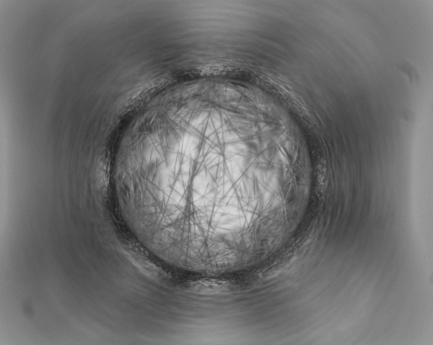 X0000112890691200909041702