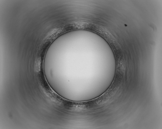 X0000112890694200909041702