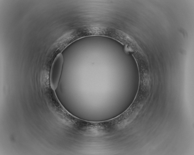 X0000112890696200909041702