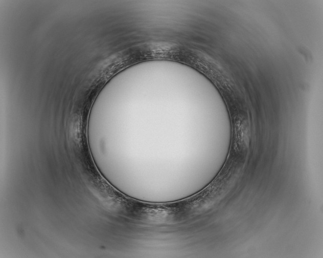 X0000112890698200909041702