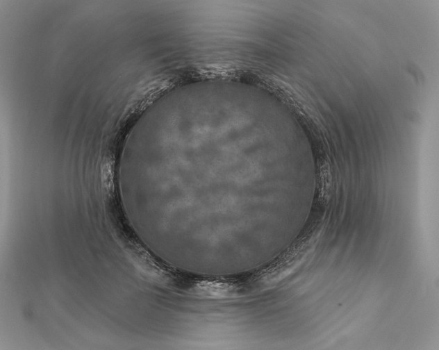 X0000112890699200909041702