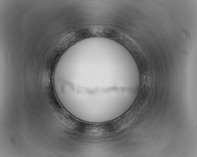 X0000112890702200909041702