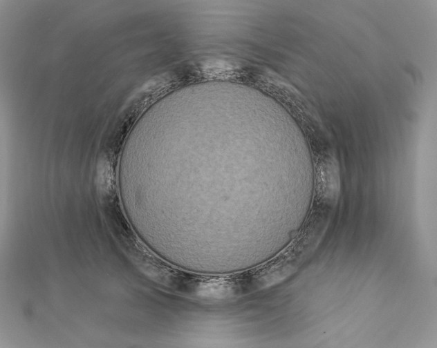 X0000112890705200909041702